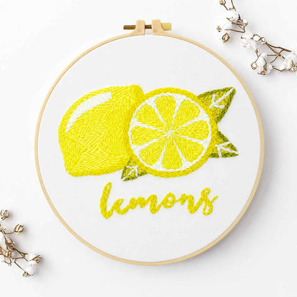 CraftHoop Summer Fruits Embroidery Kit